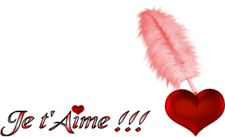 je t'aime fsm